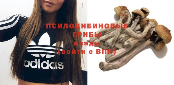 кокаин Арсеньев
