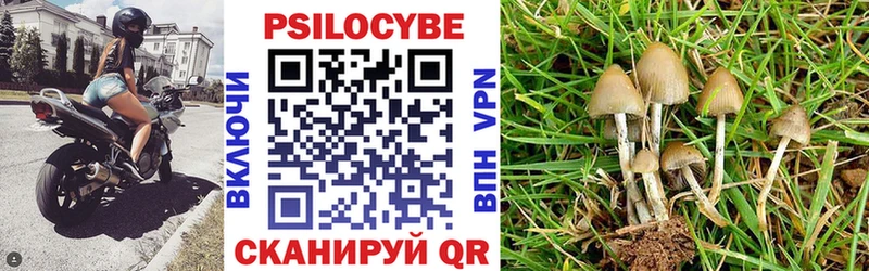 mega онион  Мезень  Галлюциногенные грибы GOLDEN TEACHER  купить  